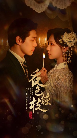 夜色缠枝（60集）赵廷义＆王云云 高清完整版